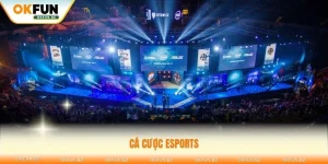 Cá cược esports vip